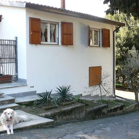 Villetta Aleanto Mentana Εξωτερικό φωτογραφία